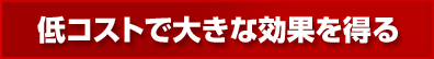 低コストで大きな効果を得る