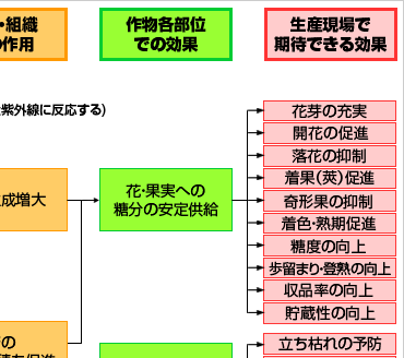 作用機作と効果発現メカニズム