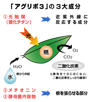 「アグリボ3」の3大成分