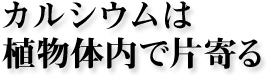 カルシウムは植物体内で片寄る