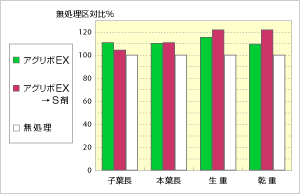 苗調査結果