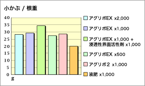 小かぶ / 根重