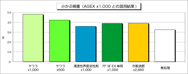 小かぶ根重（アグリボEX x1,000 との混用結果）