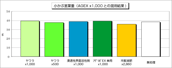 小かぶ茎葉重（アグリボEX x1,000 との混用結果）