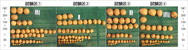 試験結果