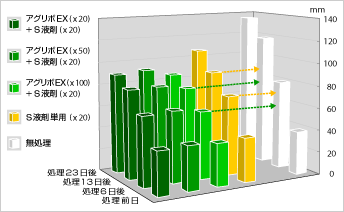 処理後の本葉長の推移