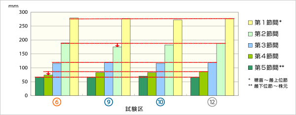 試験結果 - 節間長