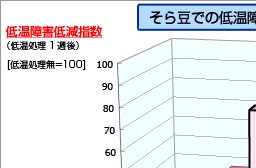 そら豆での低温障害軽減効果-低温障害低減指数