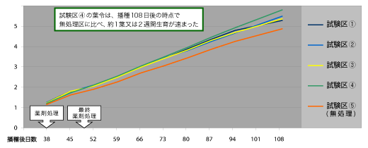 葉令の推移