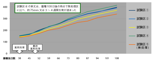 草丈の推移