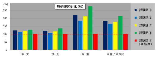 収量調査（は種133日後）